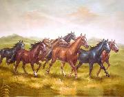 Horses 017